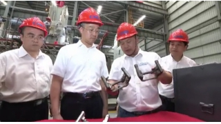 丽水市委书记胡海峰调研畅尔