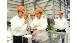 丽水市委书记张兵调研畅尔