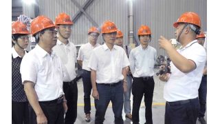 丽水市人大常委会副主任陈建波调研畅尔