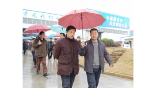 省科技厅厅长蒋泰维一行莅临我公司视察指导
