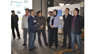 缙云县委副书记、县长吴筱琳等领导一行莅临调研指导
