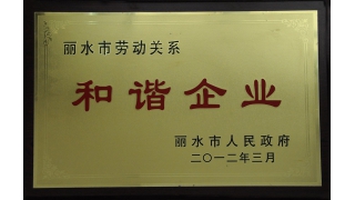 丽水市劳动关系和谐企业