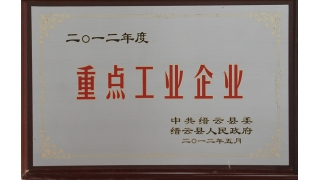 2012年度县重点工业企业