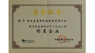 喜获“明星企业”、“明星企业家”称号