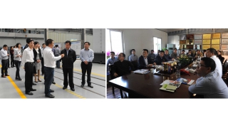 丽水市委副书记、市长黄志平调研企业