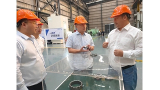 缙云县副县长刘洁阳调研畅尔