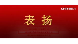 市委、市政府发文表扬，畅尔榜上有名！