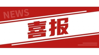 红色引领｜畅尔党支部入选“丽水市百佳两新党组织”
