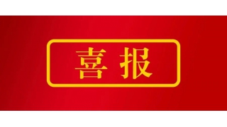 畅尔林绿高荣获丽水市“最美政协人”