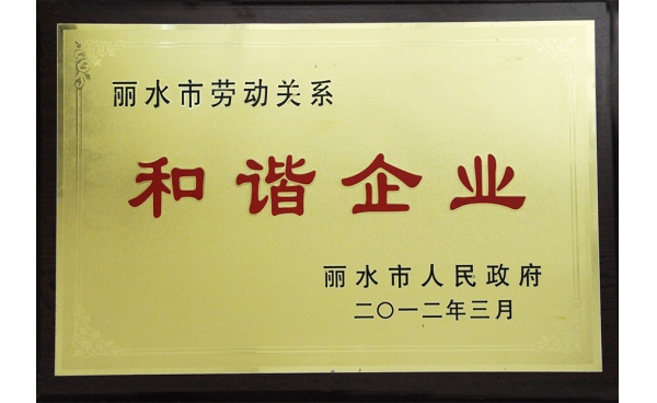 丽水市劳动关系和谐企业