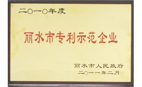 丽水市专利示范企业