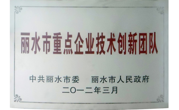 丽水市重点企业技术创新团队
