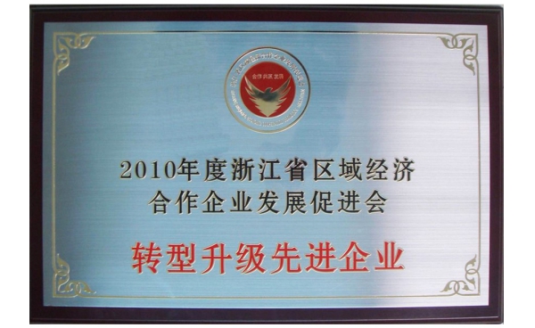 浙江省转型升级先进企业奖牌