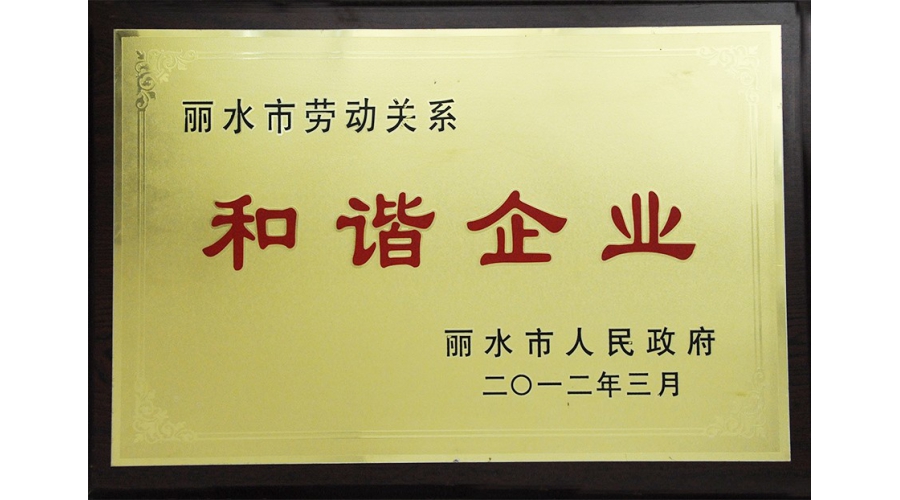 丽水市劳动关系和谐企业