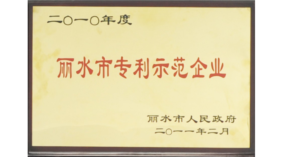 丽水市专利示范企业