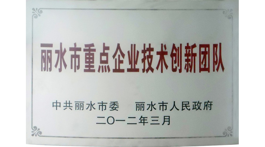 丽水市重点企业技术创新团队