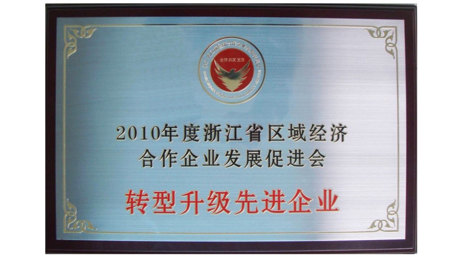 浙江省转型升级先进企业奖牌
