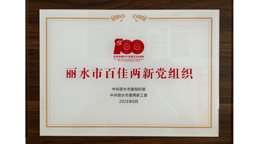 丽水市百佳两新党组织